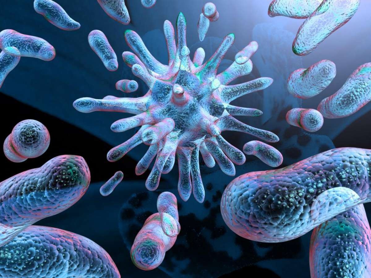 Les maladies d'origine bactériennes